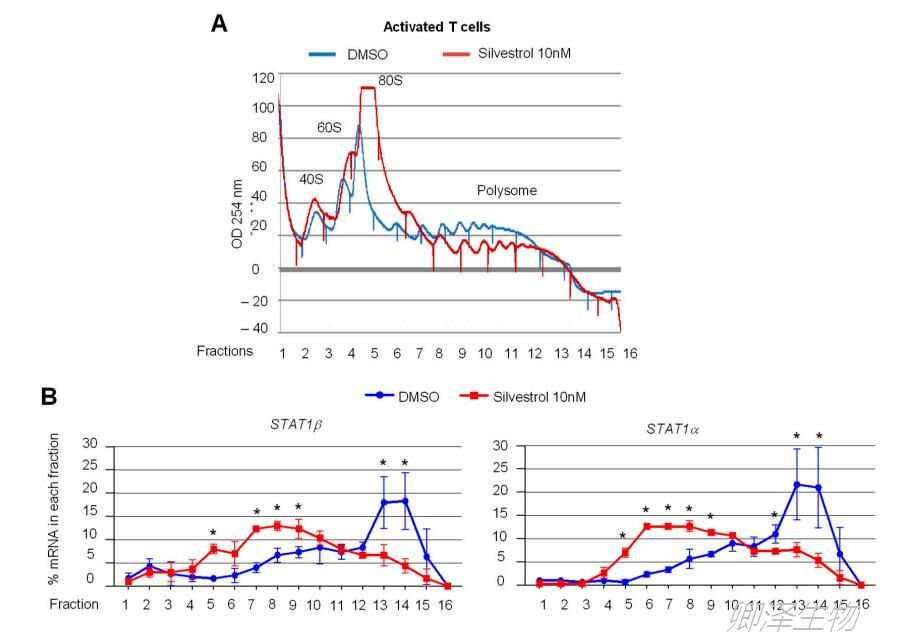 血细胞中Polysome profiling的分析研究