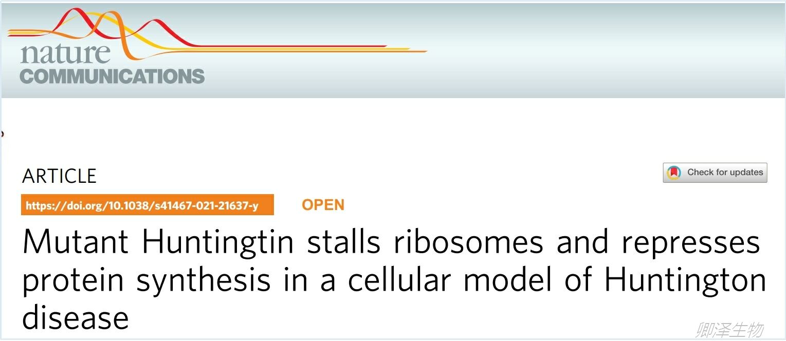 关于核糖体停滞研究的部分文献归纳