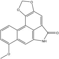 马兜铃内酰胺 I13395-02-3