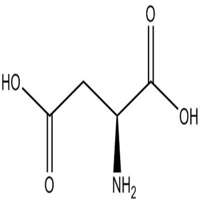 L-天冬氨酸56-84-8