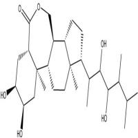 芸苔素内酯72962-43-7