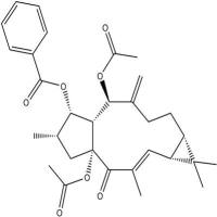 千金子素L3218916-52-0