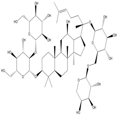人参皂苷Rb211021-13-9