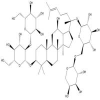 人参皂苷Rb211021-13-9