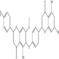 异柳杉双黄酮20931-58-2