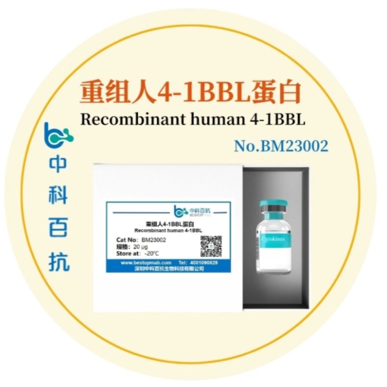 Recombinant Human 4-1BBL