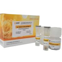 植物通用型rRNA去除试剂盒