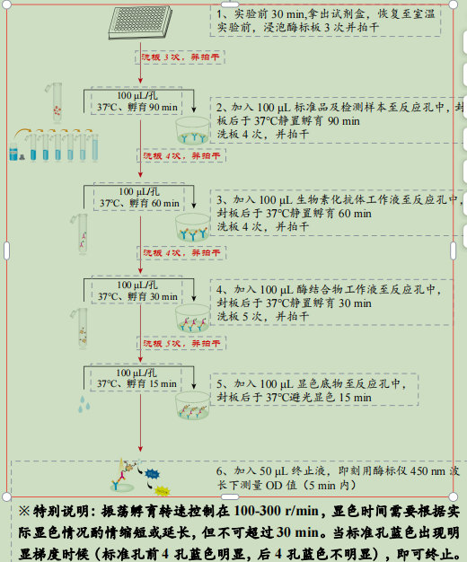 Human TNF-α ELISA KIT