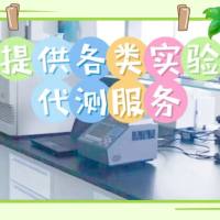 信帆提供：WB实验代测服务