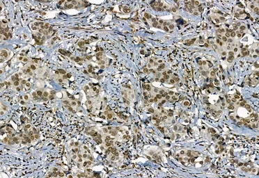 产品细节图片10