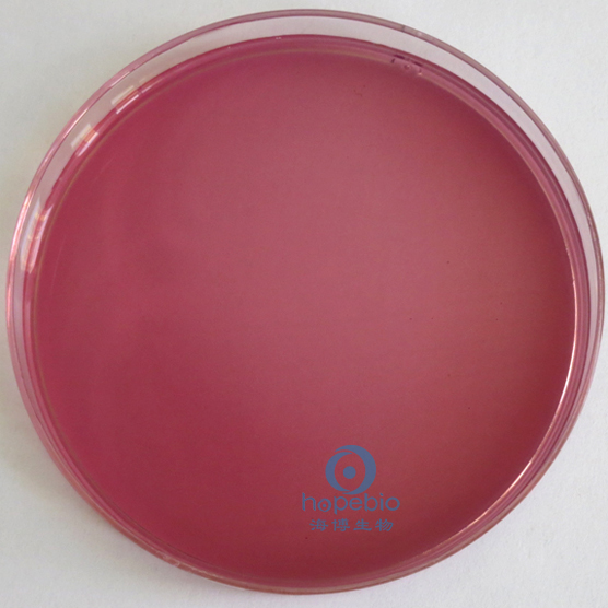 紫红胆盐葡萄糖琼脂培养基（中国药典）HB0116-4  25