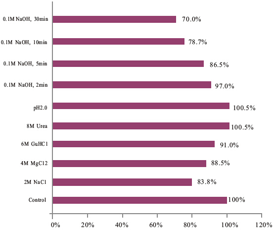 化学发光磁珠 链霉亲和素磁珠300nm Streptavid
