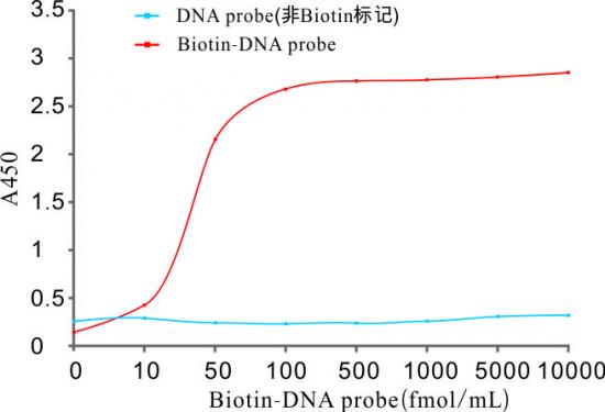 化学发光磁珠 链霉亲和素磁珠300nm Streptavid