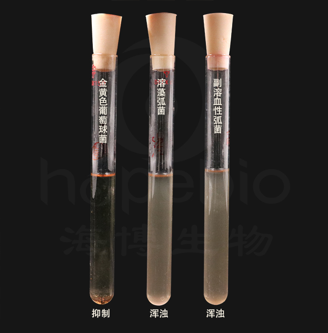 氯化钠结晶紫增菌液