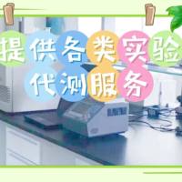 信帆提供：ELISA实验代测服务