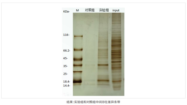 产品细节图片2