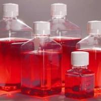 MCF-10A细胞专用培养基