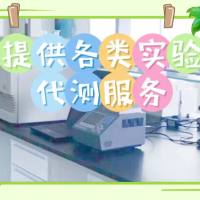 信帆生物提供:PCR实验代测服务
