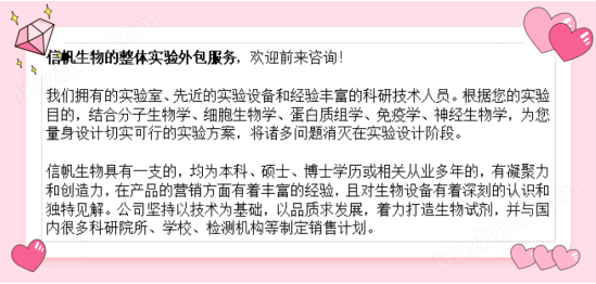 整体实验外包检测服务