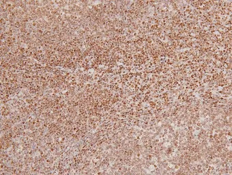 产品细节图片11