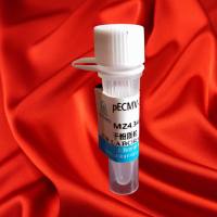 CCK-8 细胞增殖及细胞毒性检测试剂盒；GenView cck8试剂盒