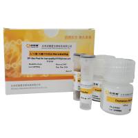 人/小鼠/大鼠FFPE样本rRNA去除试剂盒