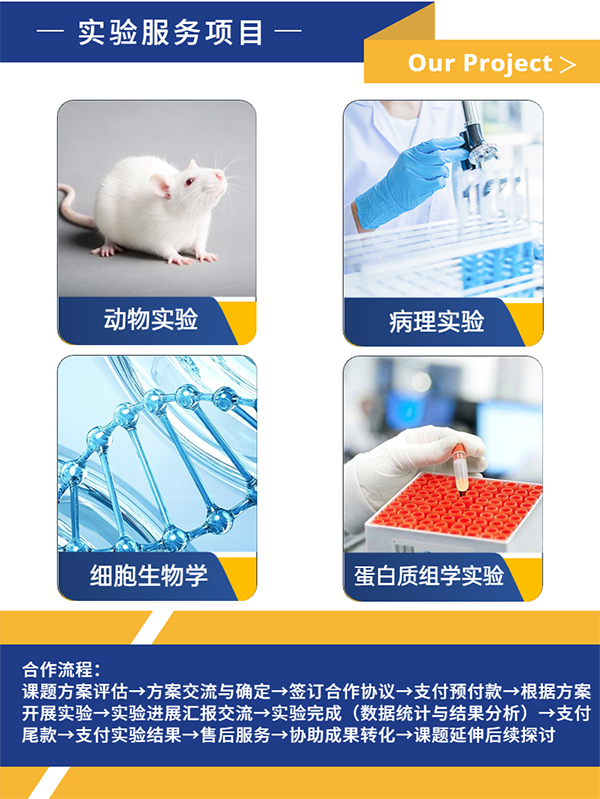 产品细节图片3