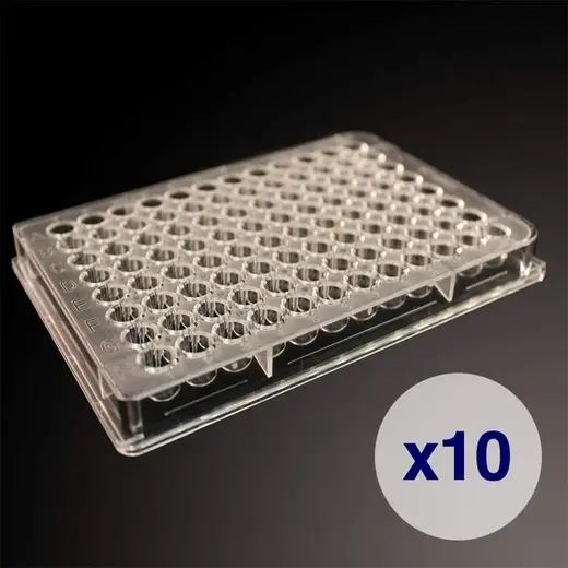 高通量细胞计数板 8x3 Case of 40 Nexcelom Counting Plates(3 columns x 8 wells format)