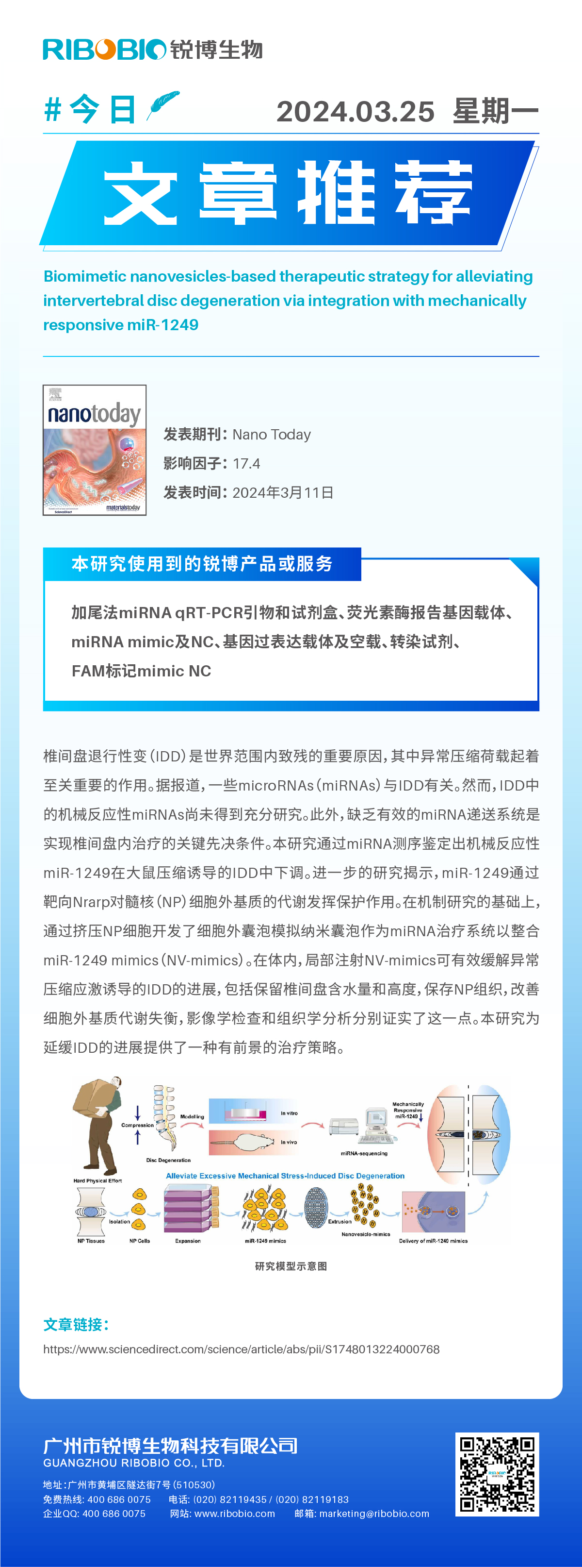 今日文章推荐（IF17.4）丨miR-1249可有效缓解椎间盘退行性变的进展