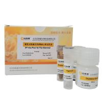 哺乳动物通用型rRNA去除试剂盒