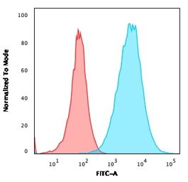 S100A4 antibody [S100A4/2750R]