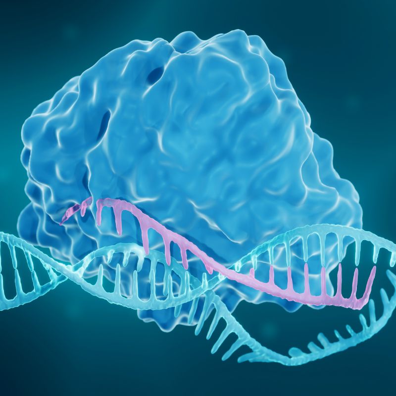 基因编辑mRNA