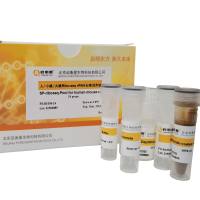 人/小鼠/大鼠Ribo-seq rRNA去除试剂盒