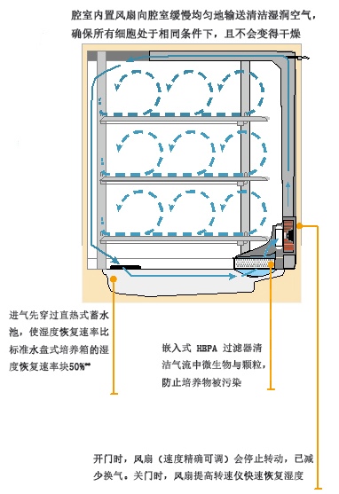 直热式CO2 培养箱，165升，不锈钢内壁，180℃干热灭菌，IR检测，Heracell VIOS 160i，Thermofisher，51030478