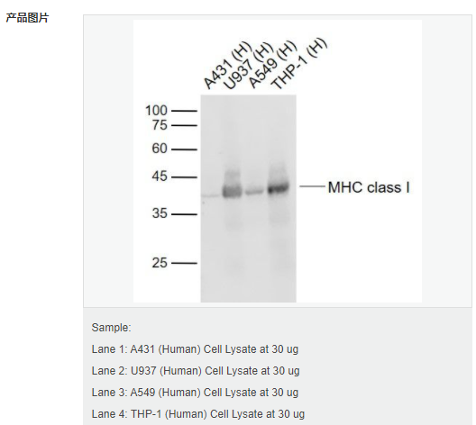 607d37bc83097.png image.png