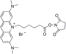 AO succinimidyl ester 40074