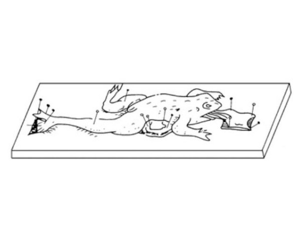 HYB华阳动物手术器械 手术器械包-2