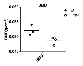 产品细节图片23