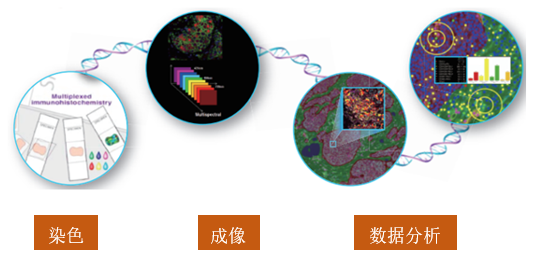 产品细节图片1