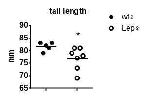 产品细节图片36
