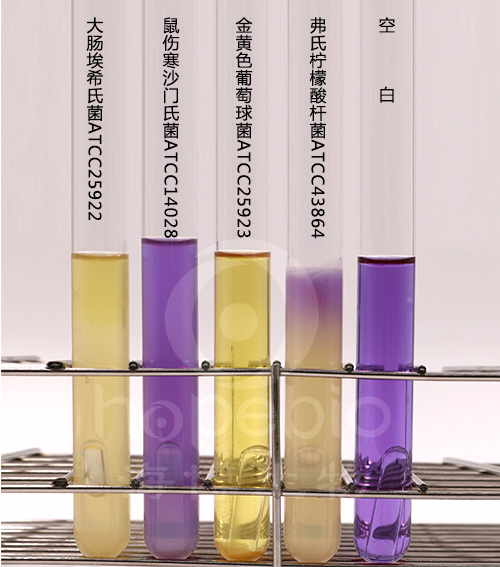 产品细节图片1