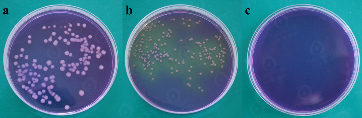 葡萄糖酪胨琼脂