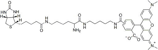TMR Biocytin 92003
