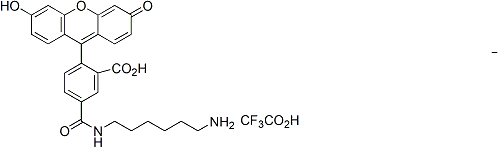 Fluorescein hexylamine 91058