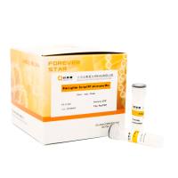 StarLighter 逆转录预混液