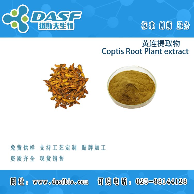 黄连提取物/Coptis Root Plant extract 植物提取物代加工
