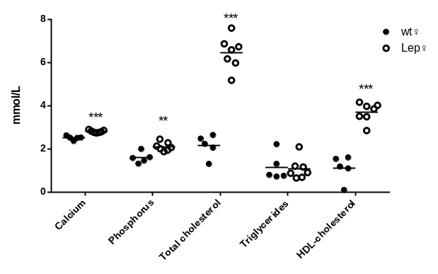 产品细节图片17