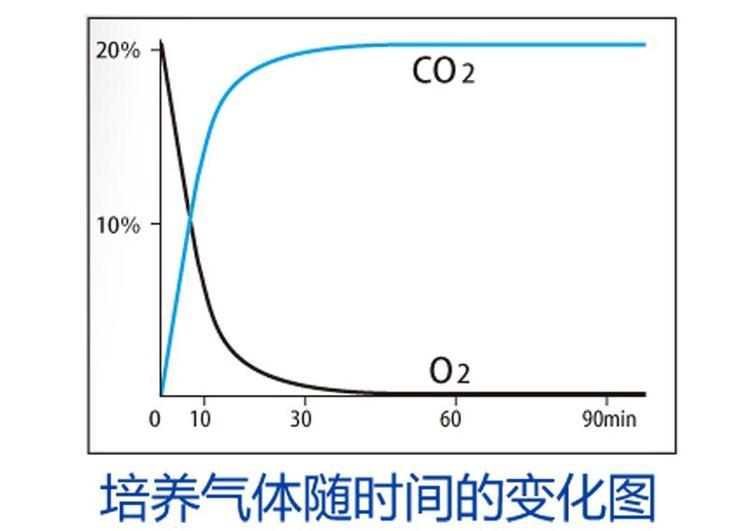 氧气指示剂 - 厌氧产气包 - 厌氧产气袋