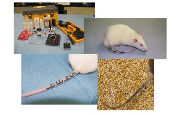 产品细节图片16