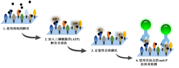 https://img1.dxycdn.com/p/s14/2024/0426/258/8651479013971273871.jpg